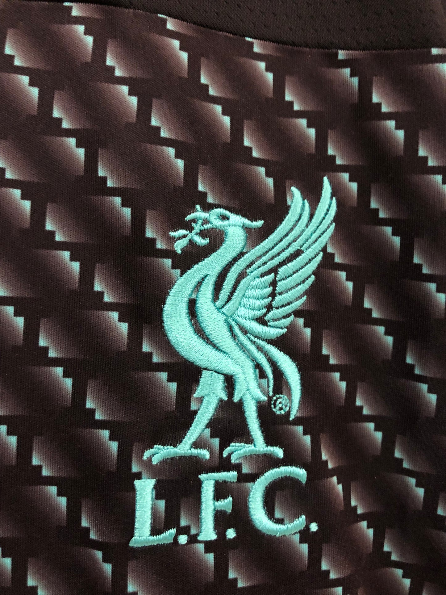 FC Liverpool 2019-20 Third Kit. (S)
