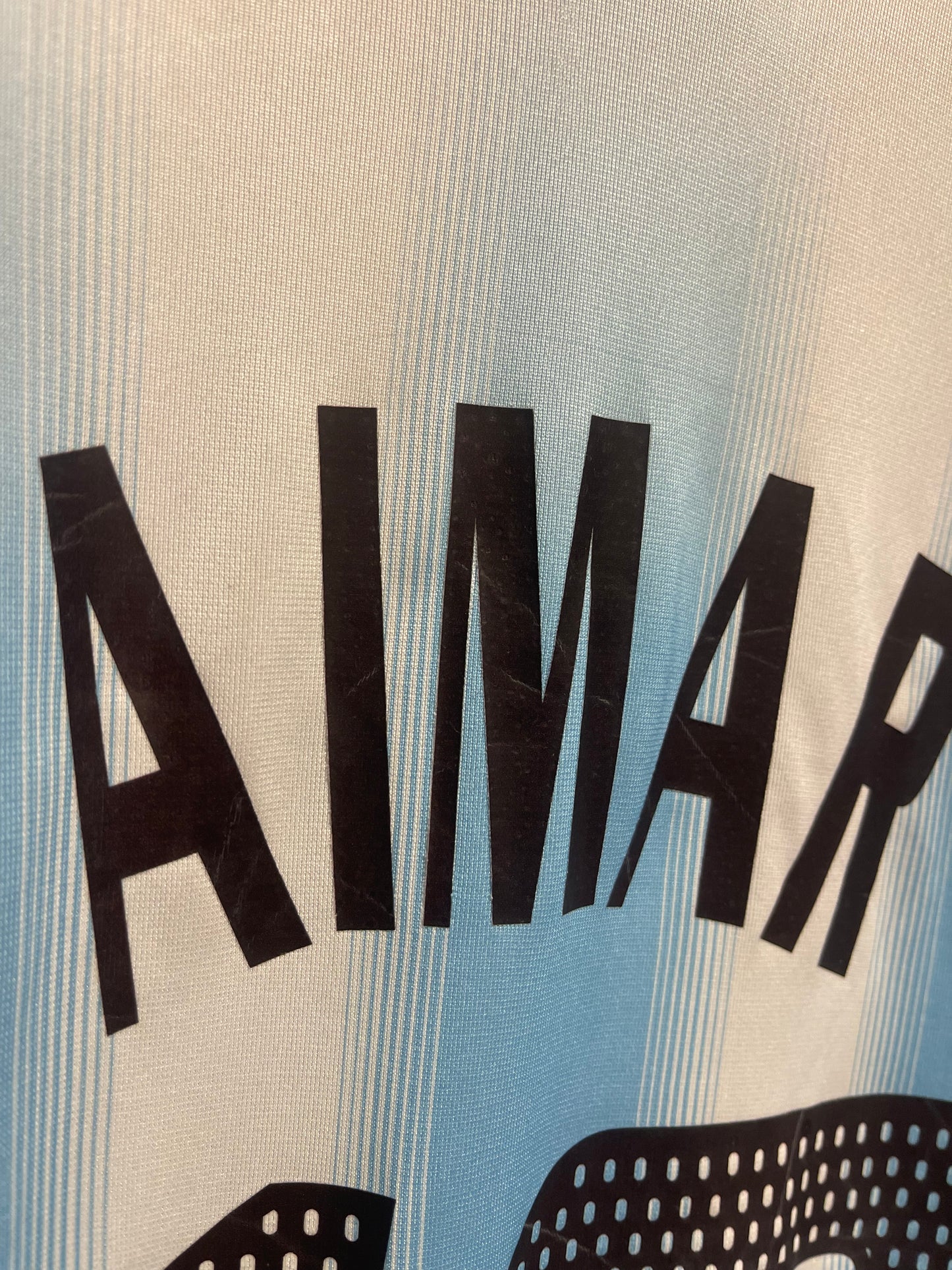 Argentina 2004 Home Kit. (M) #10 Aimar.
