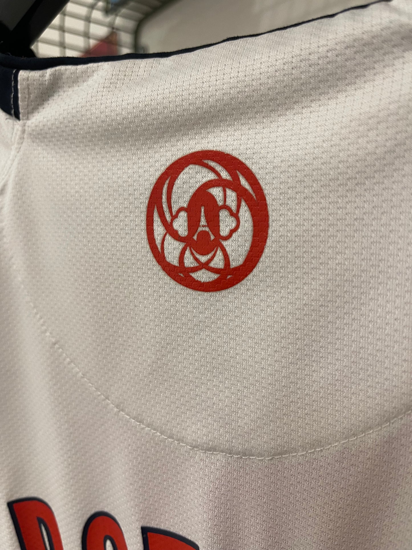 Paris Saint-Germain (PSG) 2008-09 Third Kit (#25 Jérôme Rothen)