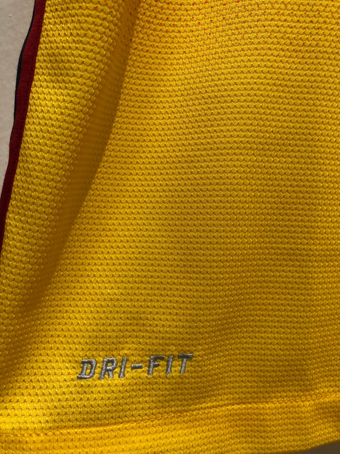 FC Barcelona 2012-13 Away Kit. (L)